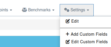 Asset custom fields